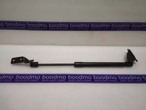 Tailgate Gas Spring Left