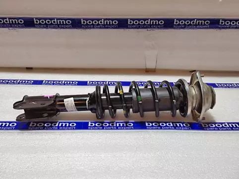 Front Suspension Strut Assembly Right