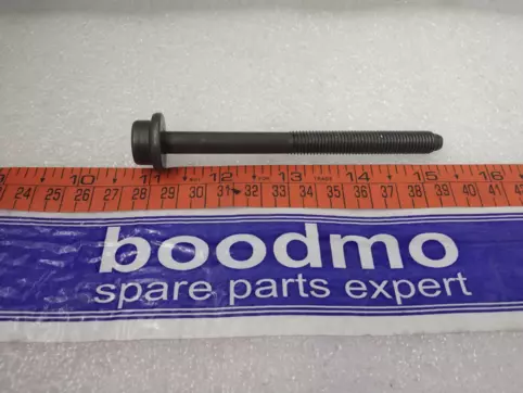 socket head bolt with innermultipoint head