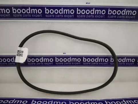 V-Ribbed Belt