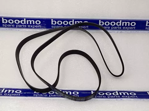 V-Ribbed Belt