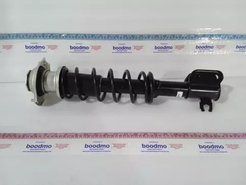 Front Suspension Strut Assembly Left/Right