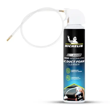AC Duct Cleaner (350ml)