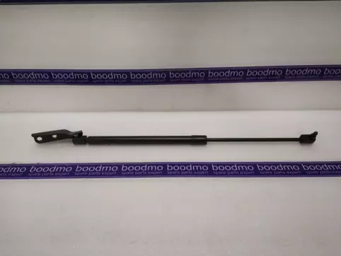 Tailgate Gas Spring Left