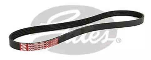 V-Ribbed Belt