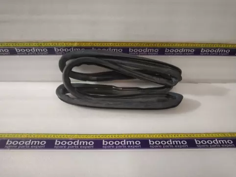 WEATERSTRIP RR WDW GLASS L