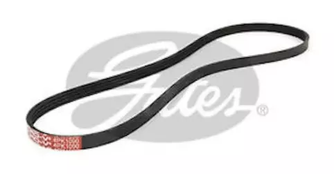 V-Ribbed Belt