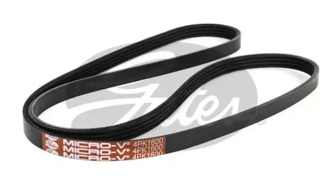V-Ribbed Belt