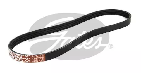 V-Ribbed Belt