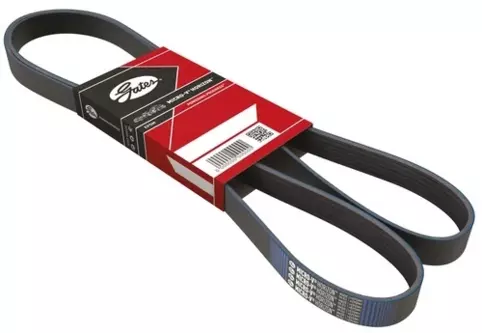 V-Ribbed Belt