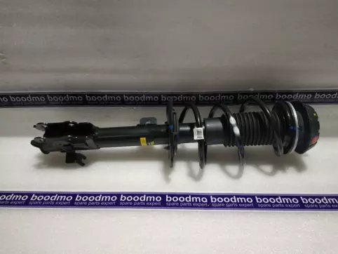 Front Suspension Strut Assembly Left