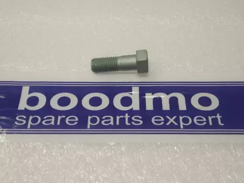 BOLT, M10X29MM