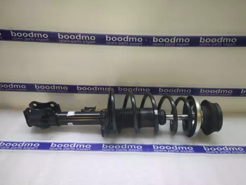 Front Suspension Strut Assembly Left
