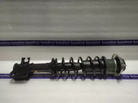 Front Suspension Strut Assembly Left