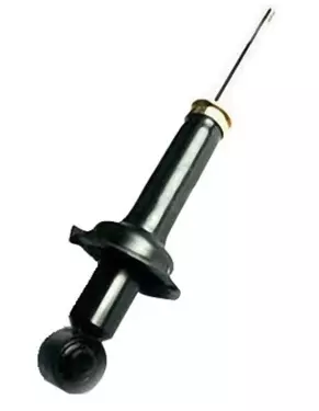 ABSORBER UNIT, RR SHOCK