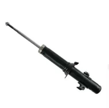 ABSORBER UNIT, RR. SHOCK