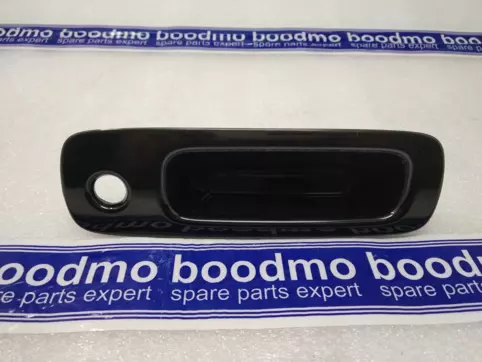 HANDLE ASSYBACK DOO