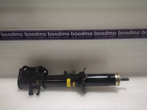 Front Suspension Strut Left
