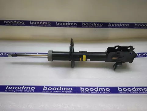 Front Suspension Strut Right