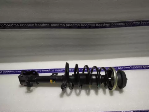 Front Suspension Strut Assembly Left