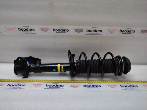 Front Suspension Strut Left