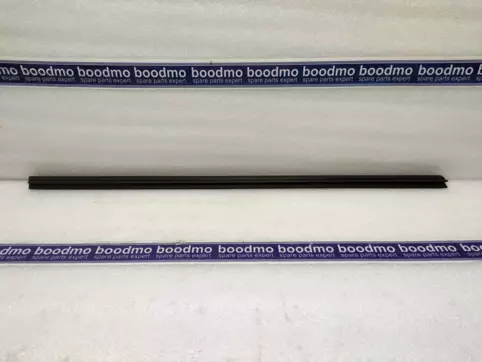 WEATHERSTRIP, FR DOOR INNER, LH