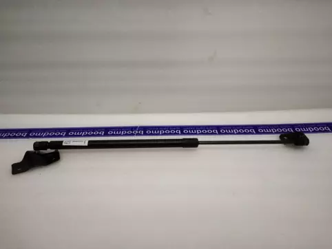 Tailgate Gas Spring Left