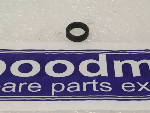 O-RING