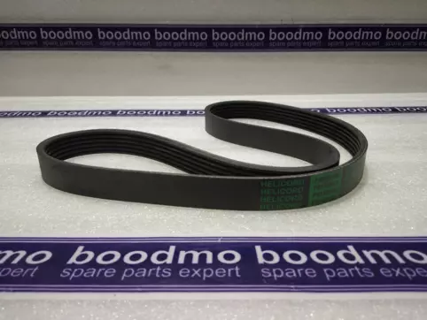 V-Ribbed Belt
