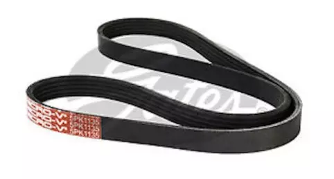 V-Ribbed Belt