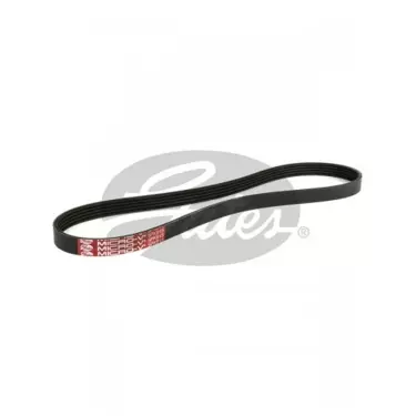 V-Ribbed Belt