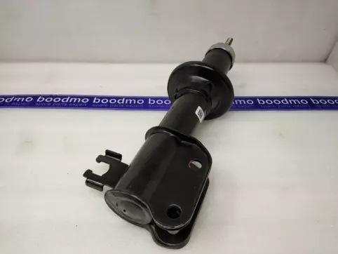Front Suspension Strut Left/Right