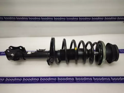 Front Suspension Strut Assembly Left