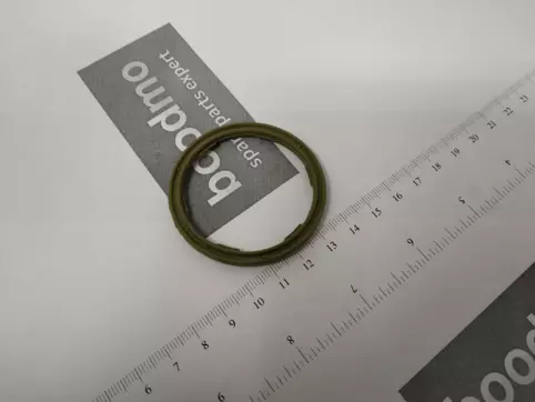o-ring