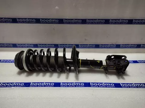 Front Suspension Strut Assembly Left