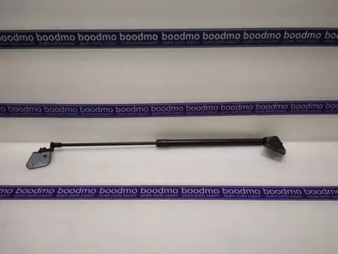 Tailgate Gas Spring Left