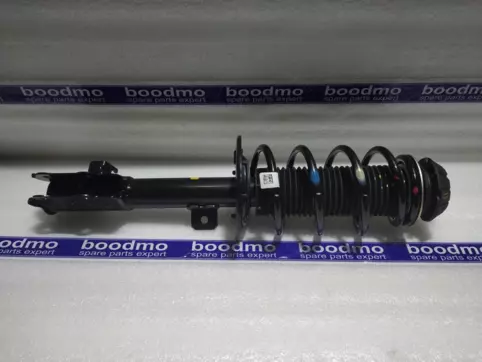 Front Suspension Strut Right