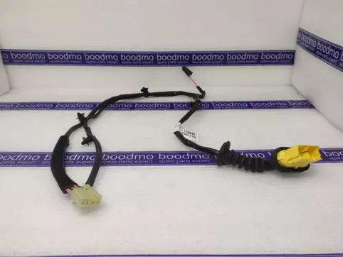 WIRING ASSY-FR DR(PASS)