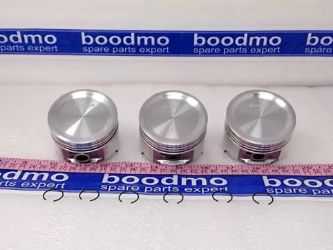 Piston Assembly