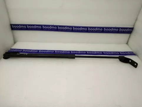 Tailgate Gas Spring Left