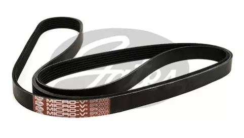 RIBBED BELT - V