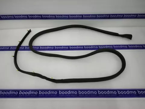 WEATHERSTRIP DRIP RAIL LH