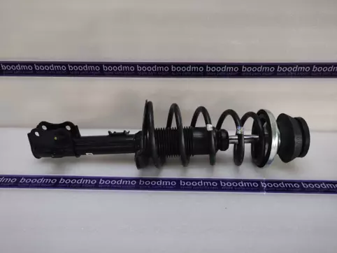 Front Suspension Strut Assembly Left