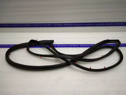 WEATHERSTRIP, DOOR OPNG LH