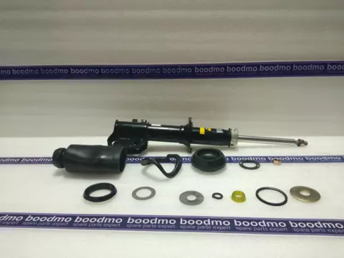 Front Suspension Strut Left/Right