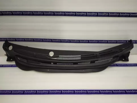 COVER & STRIP ASSY-COWL TOP,LH