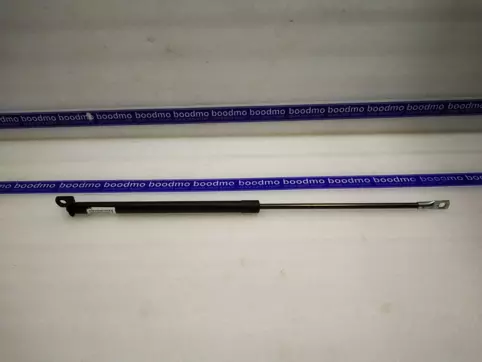 Tailgate Gas Spring Left/Right