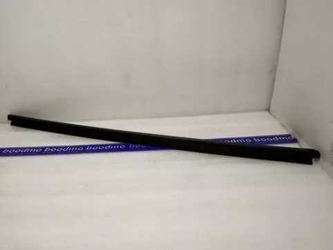 WEATHERSTRIP, FR DOOR OUT, LH