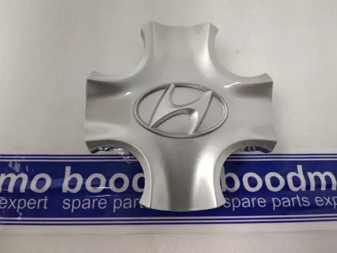CAP ASSY-WHEEL HUB