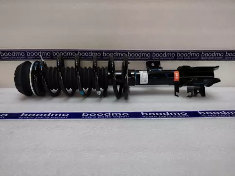 Front Suspension Strut Assembly Left